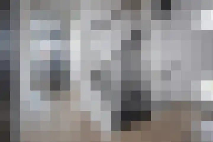 Grutto 10 Grootebroek thumbnail 17