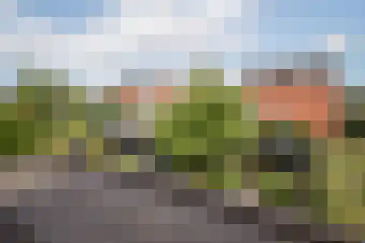 Grutto 10 Grootebroek thumbnail 20