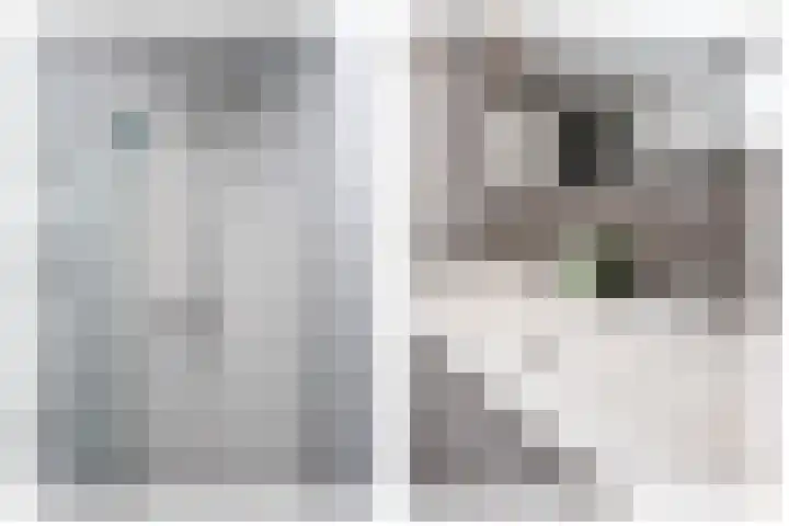 Grutto 10 Grootebroek thumbnail 23