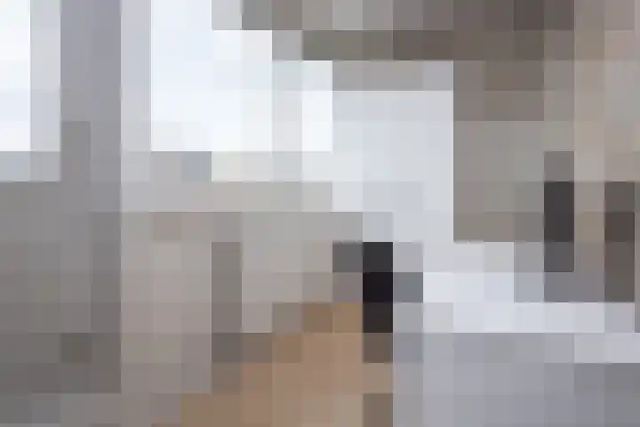 Grutto 10 Grootebroek thumbnail 28
