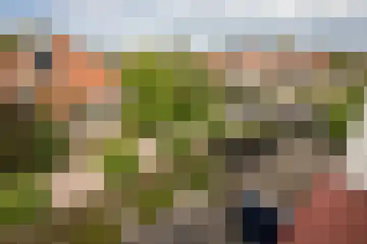 Grutto 10 Grootebroek thumbnail 31