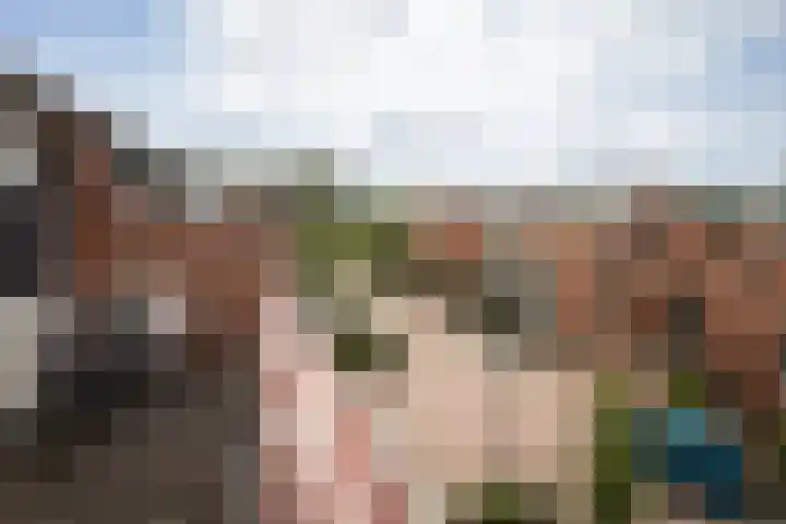 Grutto 10 Grootebroek thumbnail 32