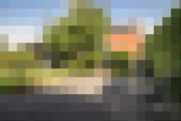 Grutto 10 Grootebroek thumbnail 33