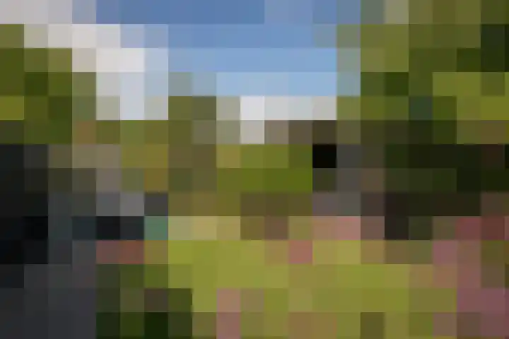 Grutto 10 Grootebroek thumbnail 34