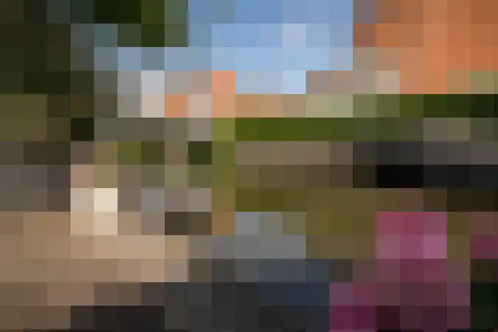 Grutto 10 Grootebroek thumbnail 36