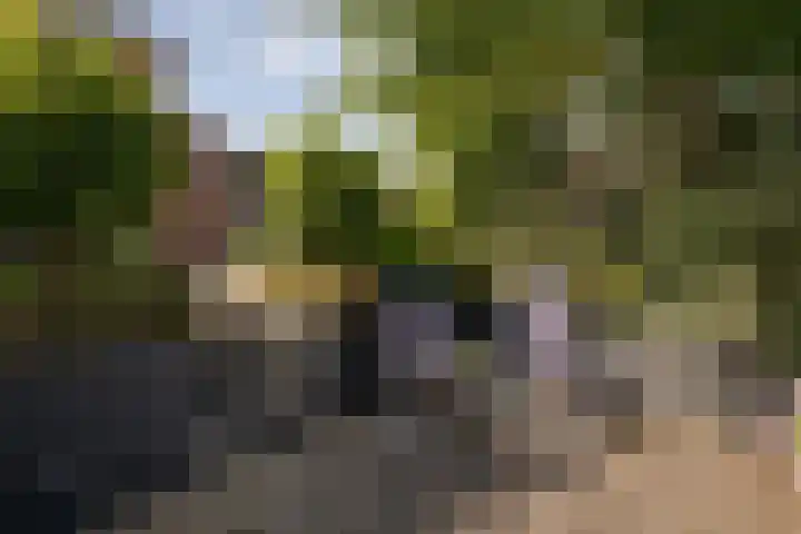 Grutto 10 Grootebroek thumbnail 37