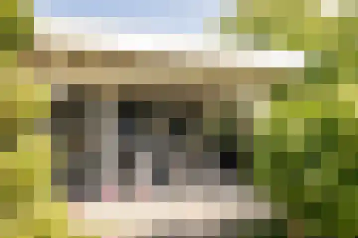 Grutto 10 Grootebroek thumbnail 39