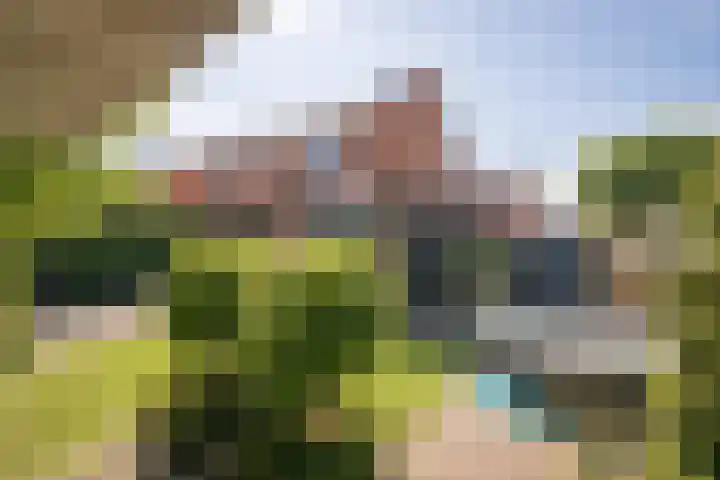 Grutto 10 Grootebroek thumbnail 41