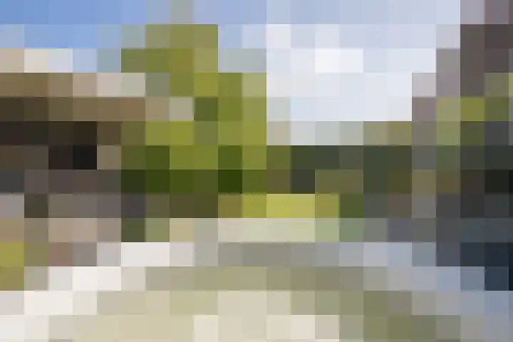Grutto 10 Grootebroek thumbnail 42