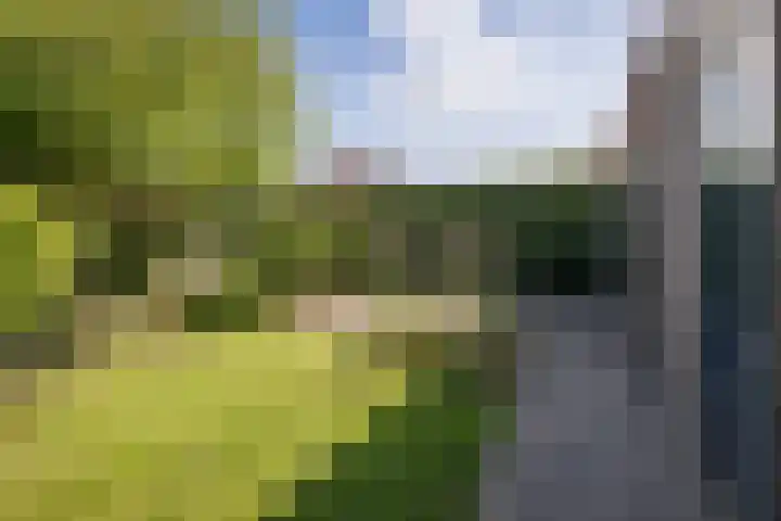 Grutto 10 Grootebroek thumbnail 43