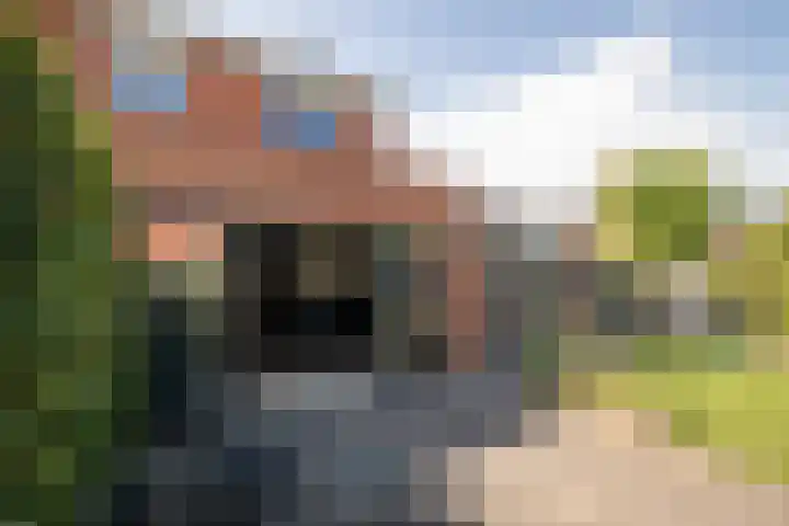 Grutto 10 Grootebroek thumbnail 44