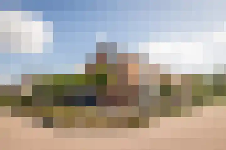 Grutto 10 Grootebroek thumbnail 45