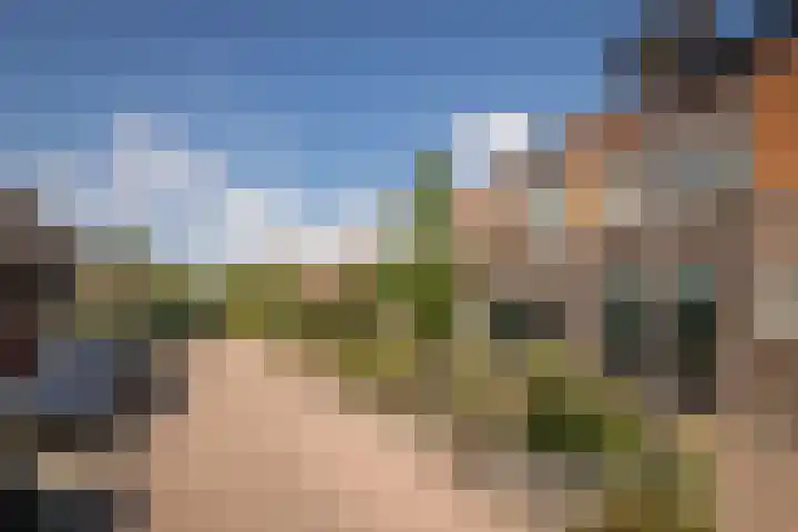 Grutto 10 Grootebroek thumbnail 46