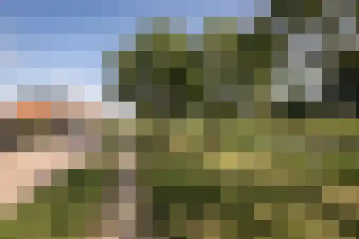 Grutto 10 Grootebroek thumbnail 47