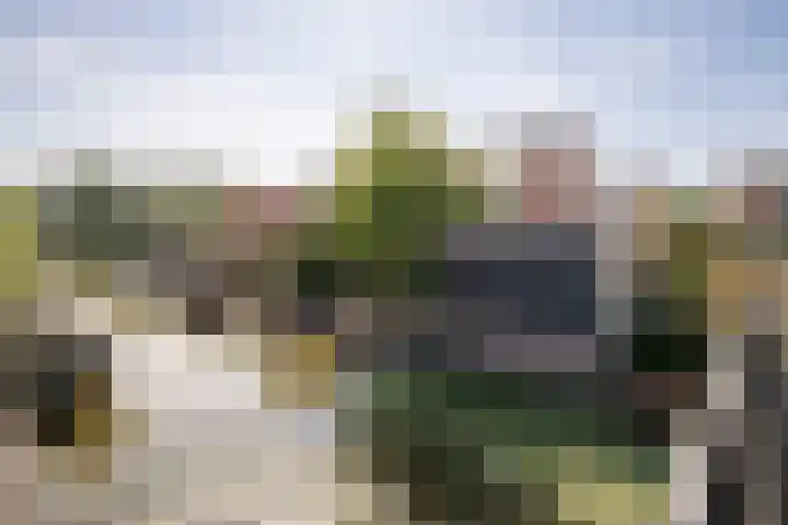 Grutto 10 Grootebroek thumbnail 48