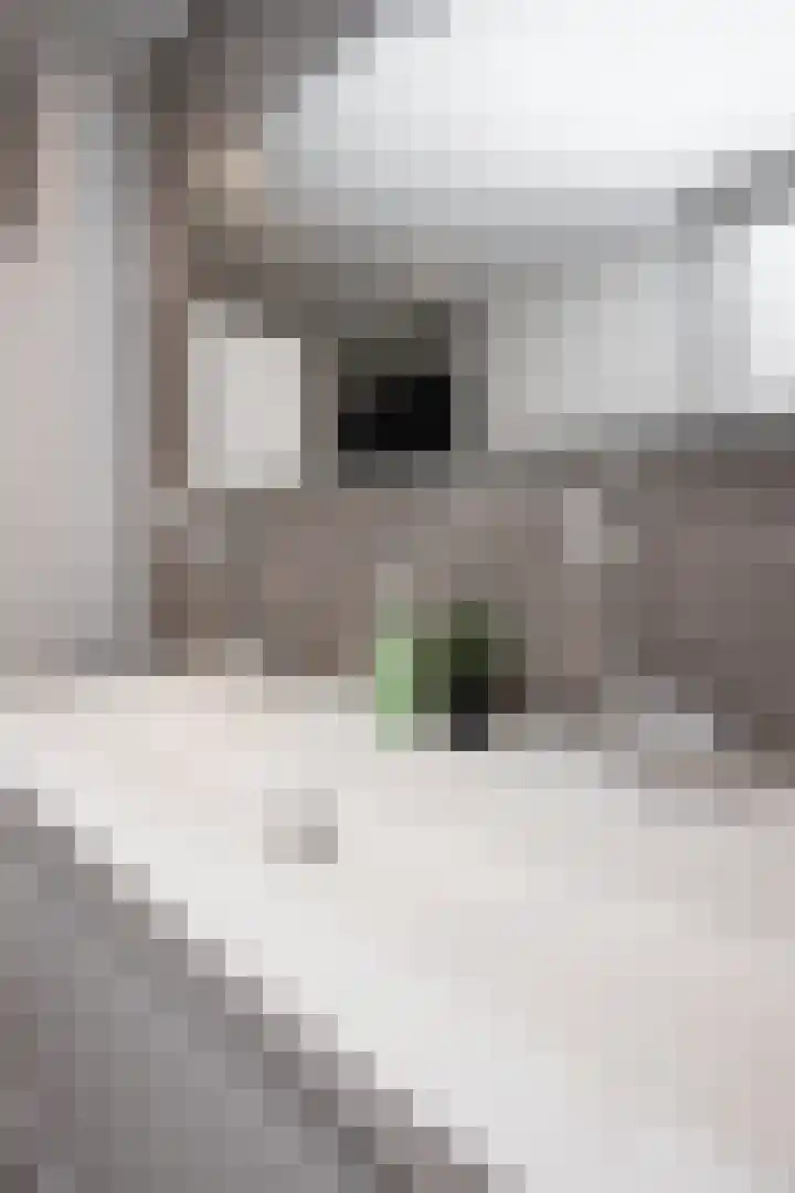 Grutto 10 Grootebroek thumbnail 57
