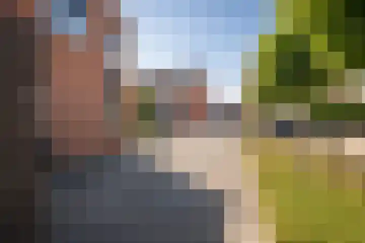 Grutto 10 Grootebroek thumbnail 6