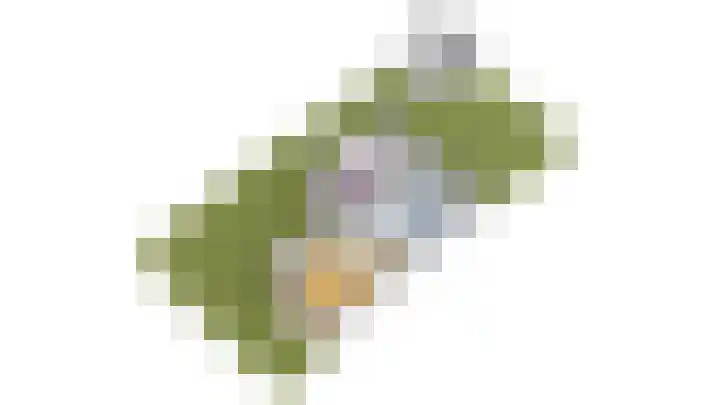Grutto 10 Grootebroek thumbnail 61