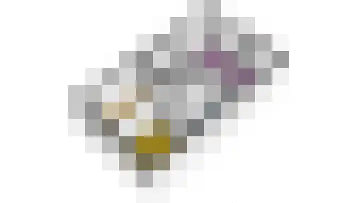 Grutto 10 Grootebroek thumbnail 65