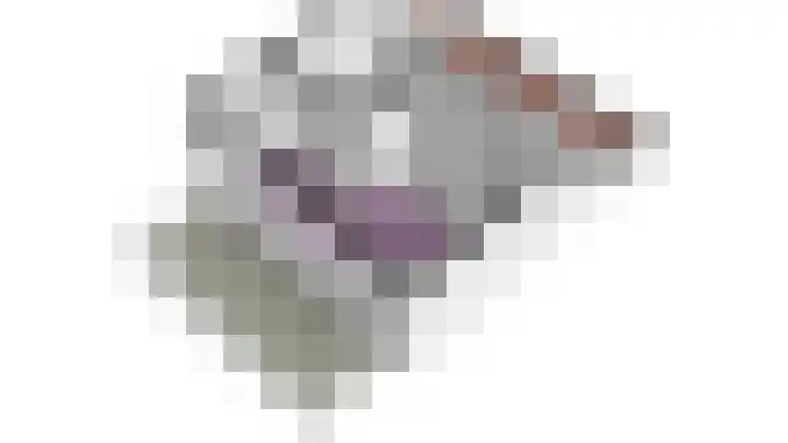 Grutto 10 Grootebroek thumbnail 67