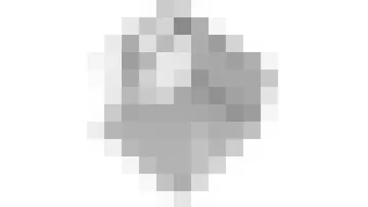 Grutto 10 Grootebroek thumbnail 69