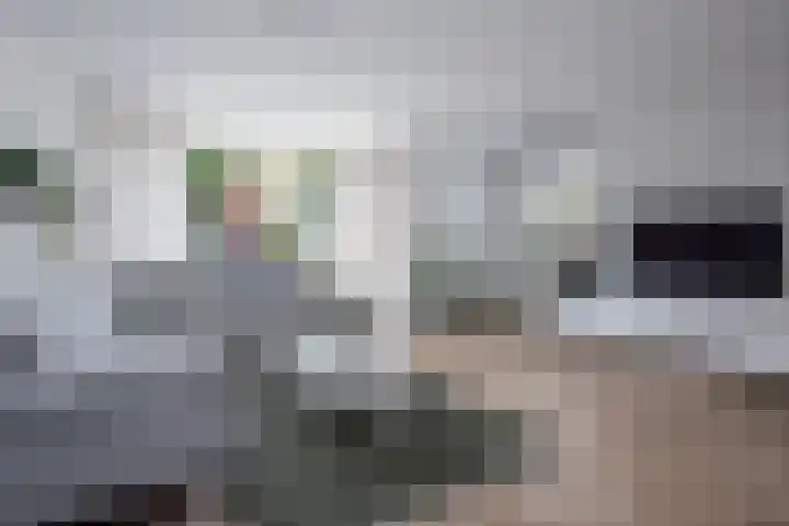 Grutto 10 Grootebroek thumbnail 8