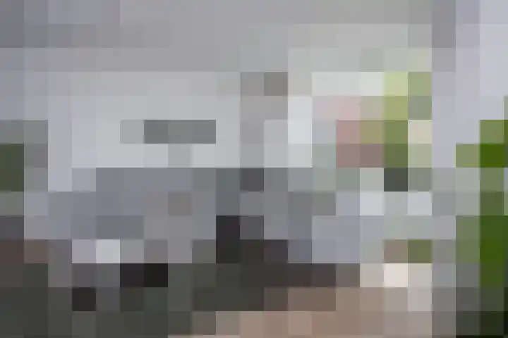 Grutto 10 Grootebroek thumbnail 9