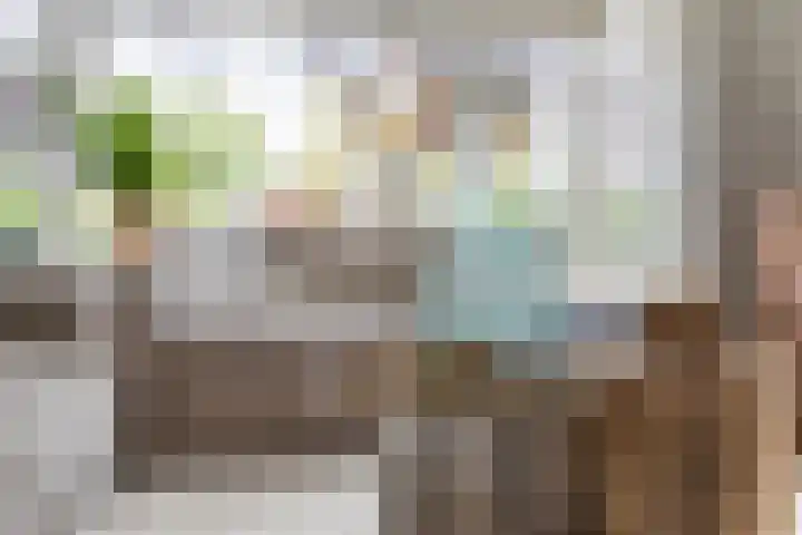 Grutto 10 Nunspeet thumbnail 10