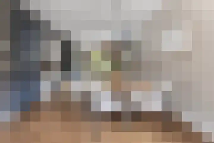 Grutto 10 Nunspeet thumbnail 15