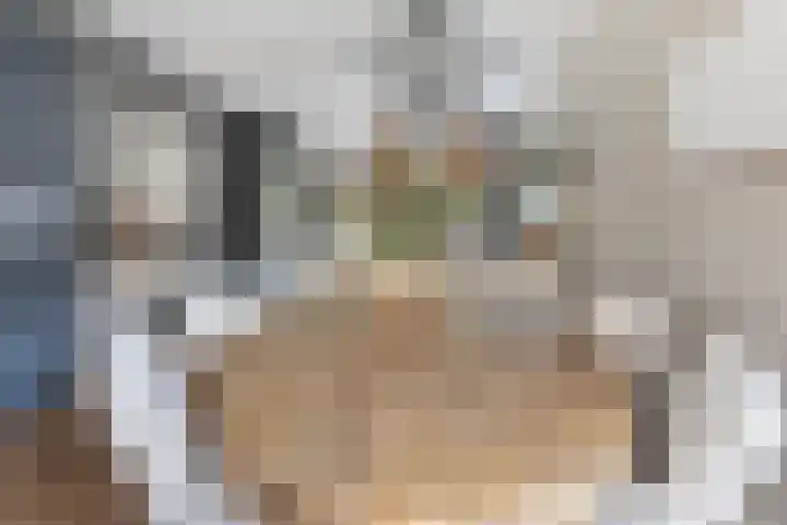 Grutto 10 Nunspeet thumbnail 16