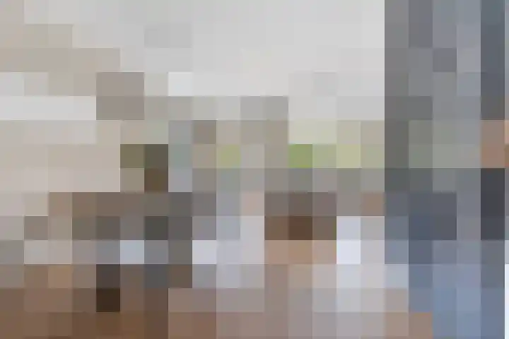 Grutto 10 Nunspeet thumbnail 18