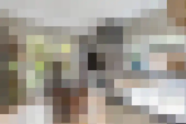 Grutto 10 Nunspeet thumbnail 19