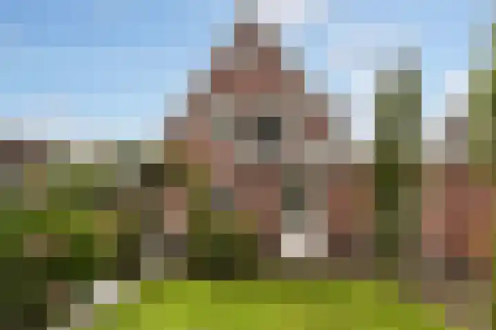 Grutto 10 Nunspeet thumbnail 42