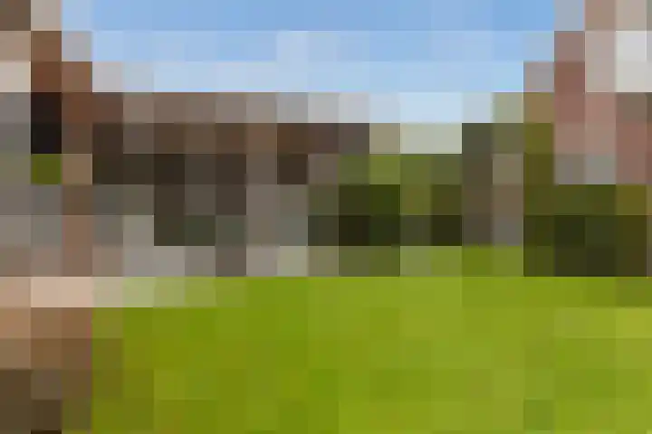 Grutto 10 Nunspeet thumbnail 43