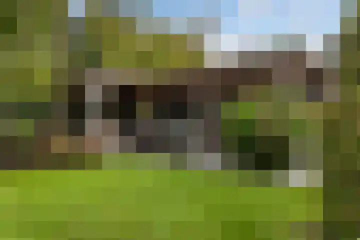 Grutto 10 Nunspeet thumbnail 44