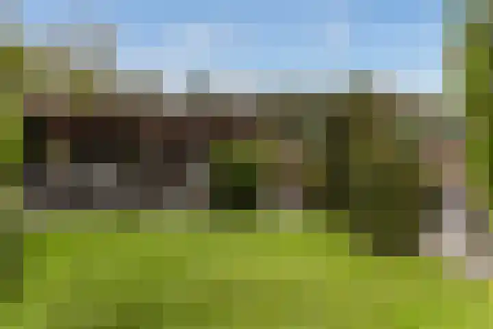 Grutto 10 Nunspeet thumbnail 45