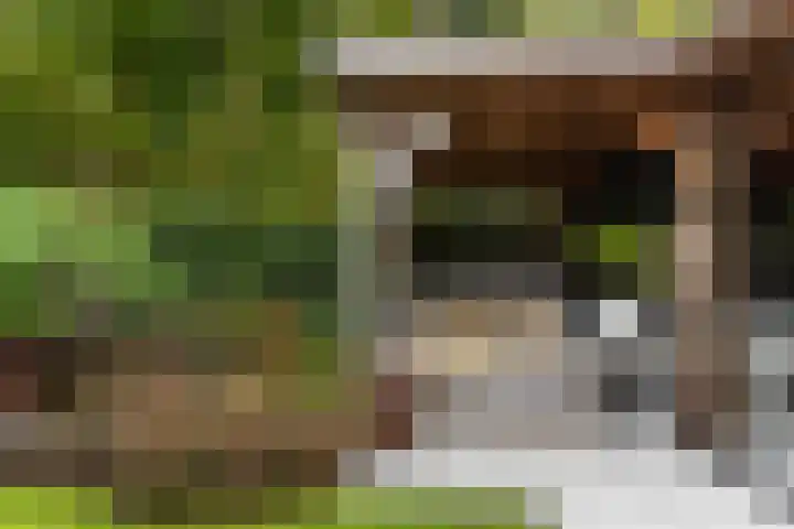 Grutto 10 Nunspeet thumbnail 46