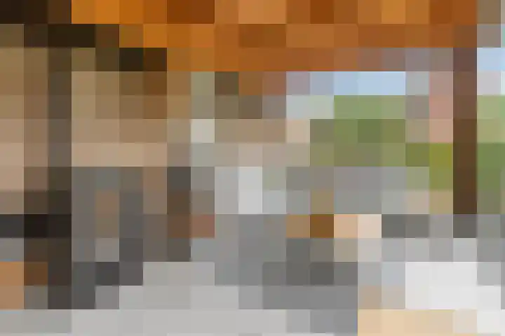 Grutto 10 Nunspeet thumbnail 47