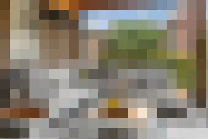 Grutto 10 Nunspeet thumbnail 48