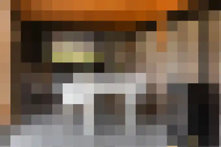 Grutto 10 Nunspeet thumbnail 49