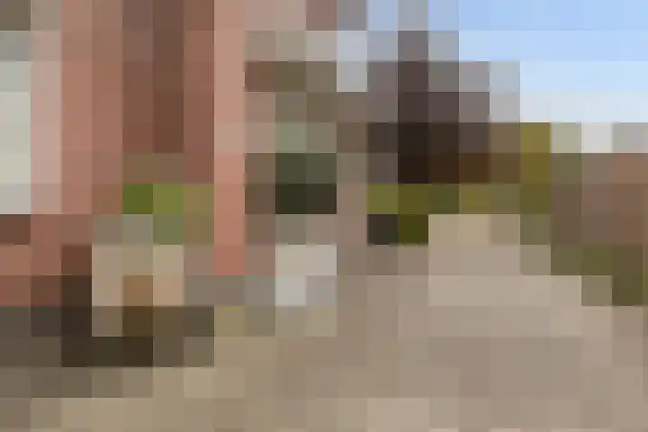 Grutto 10 Nunspeet thumbnail 5