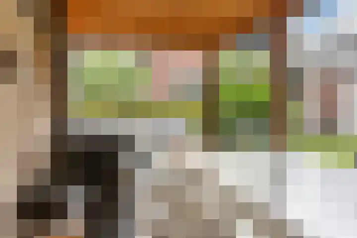 Grutto 10 Nunspeet thumbnail 50