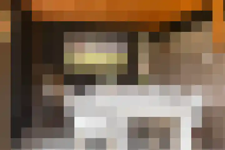 Grutto 10 Nunspeet thumbnail 51