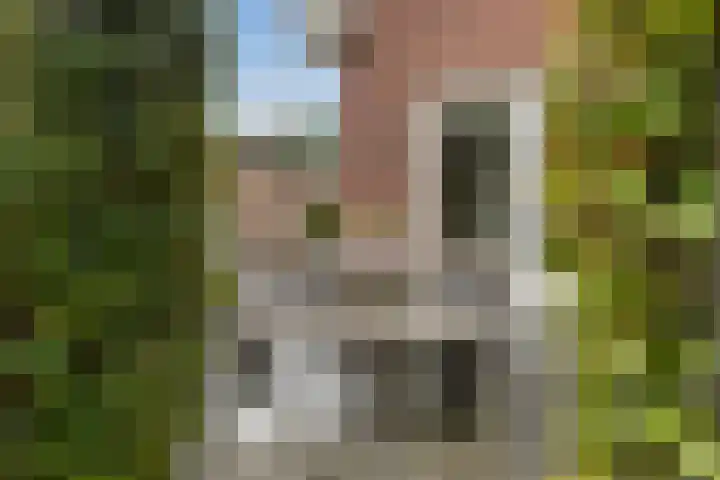 Grutto 10 Nunspeet thumbnail 53