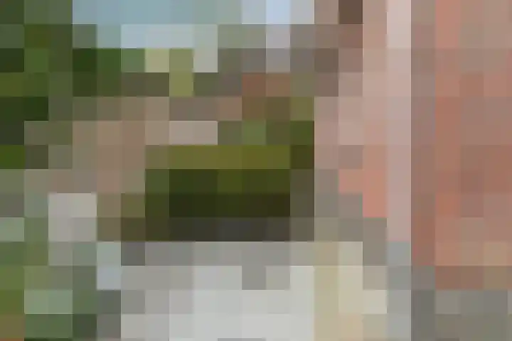 Grutto 10 Nunspeet thumbnail 54