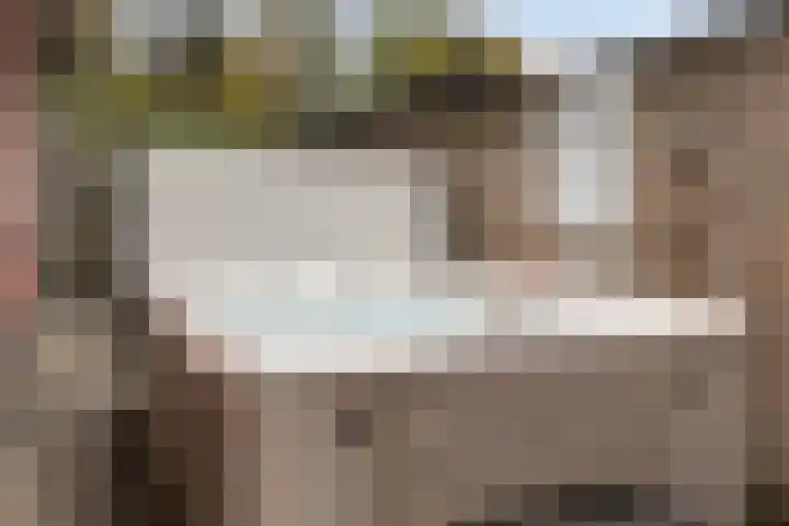 Grutto 10 Nunspeet thumbnail 55