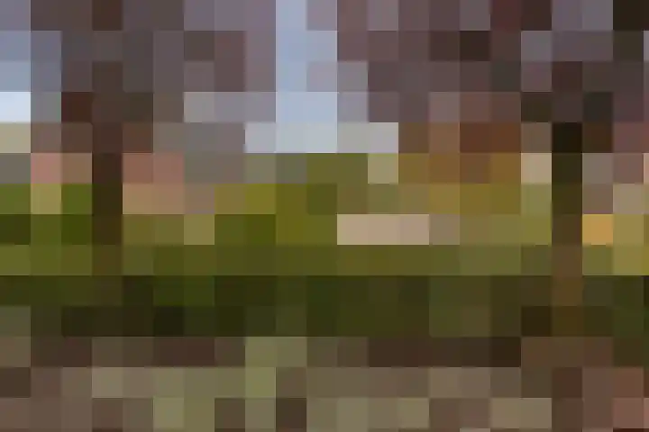 Grutto 10 Nunspeet thumbnail 57