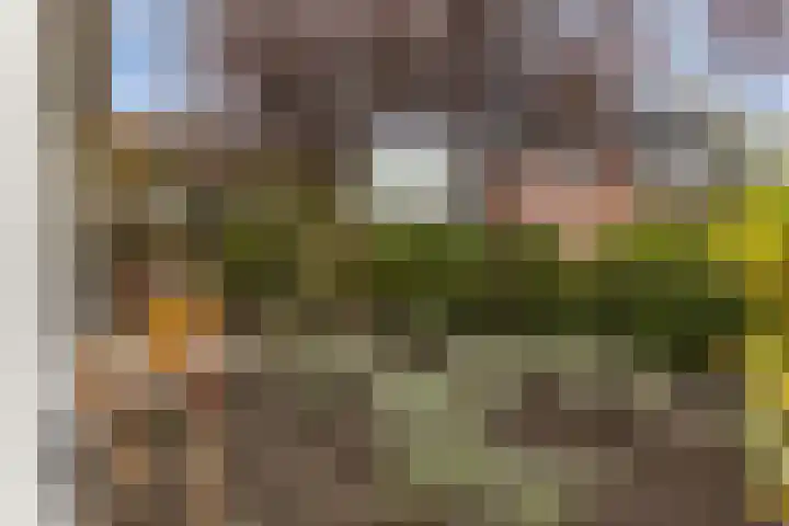 Grutto 10 Nunspeet thumbnail 58