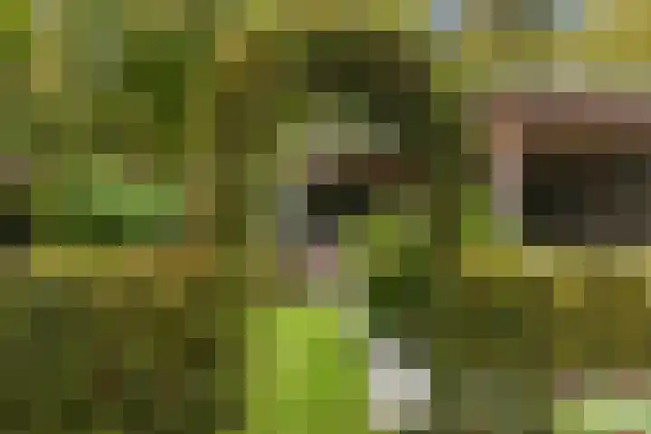 Grutto 10 Nunspeet thumbnail 59