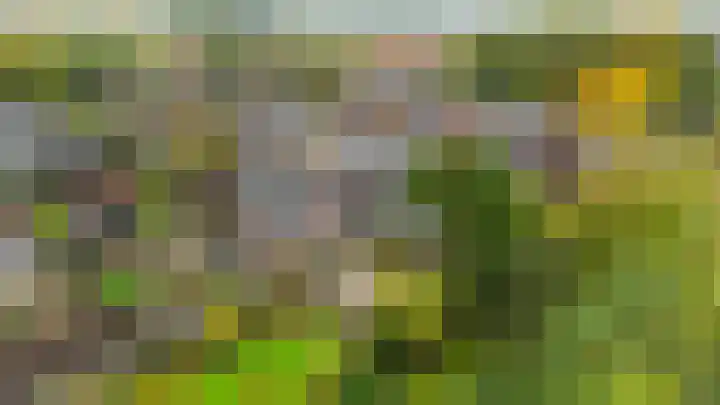 Grutto 10 Nunspeet thumbnail 60